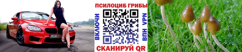 Псилоцибиновые грибы Magic Shrooms Дыгулыбгей