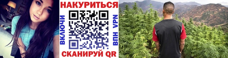 Шишки марихуана планчик  OMG ссылки  Дыгулыбгей  хочу  